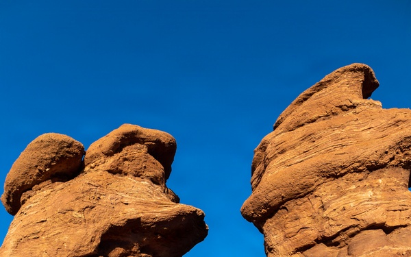 4-9 IN Manchu Reenlistment Ceremony at Garden of the Gods