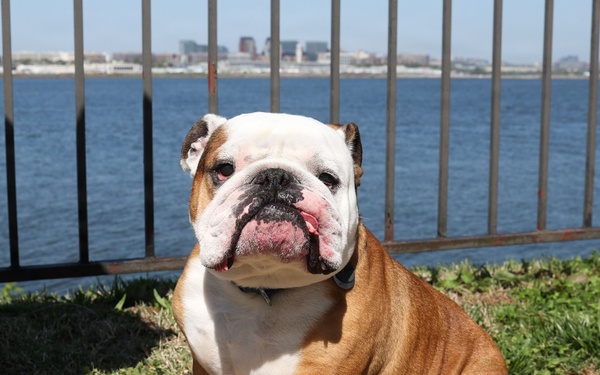 MCCS Spring Fling 2026