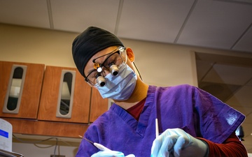 Where Dental Students Can Impact National Security