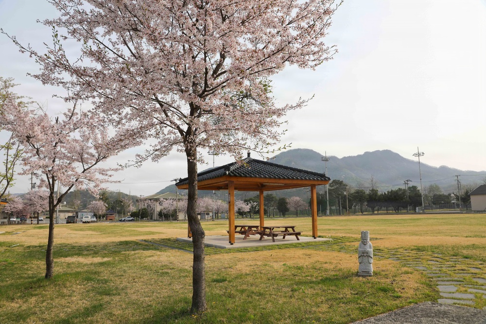 Spring 2026 at Camp Casey