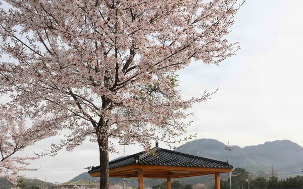 Spring 2026 at Camp Casey