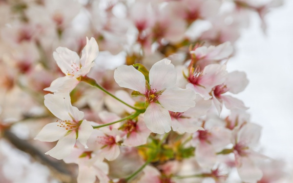 Spring 2026 at Camp Casey