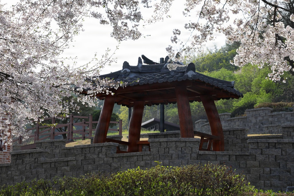 Spring 2026 at Camp Casey