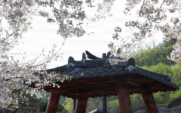 Spring 2026 at Camp Casey