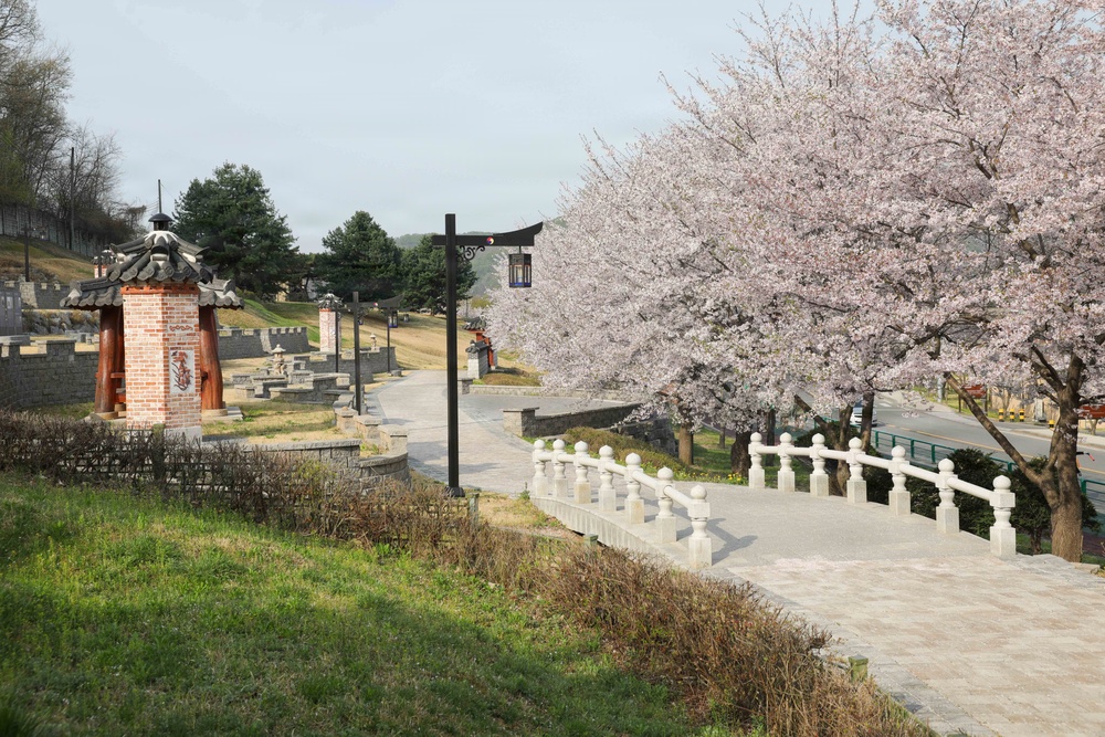 Spring 2026 at Camp Casey