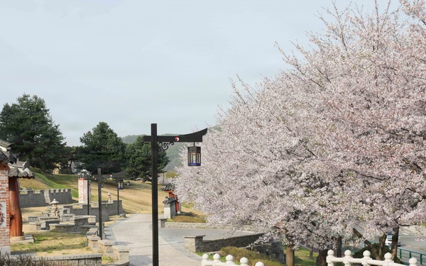 Spring 2026 at Camp Casey