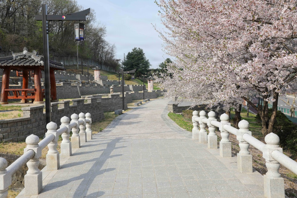 Spring 2026 at Camp Casey