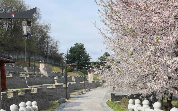 Spring 2026 at Camp Casey