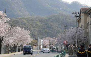 Spring 2026 at Camp Casey