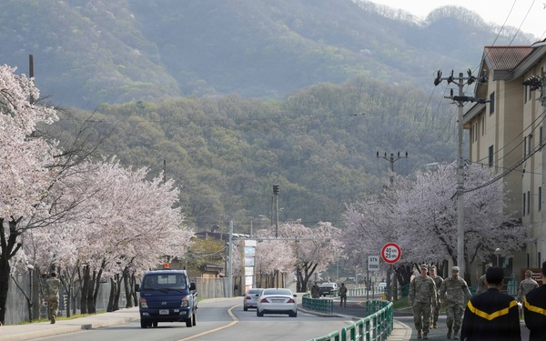 Spring 2026 at Camp Casey