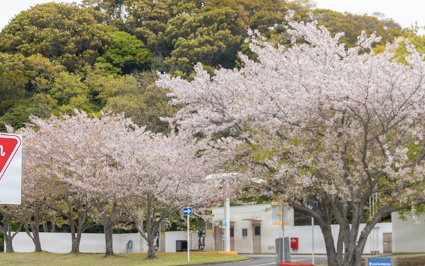 CFAY Stop Sign Installation In Ikego Housing