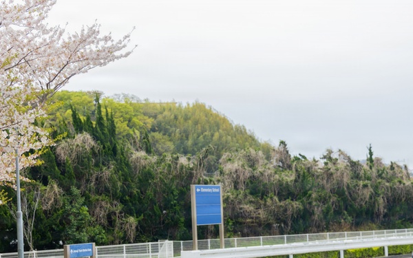 CFAY Stop Sign Installation In Ikego Housing