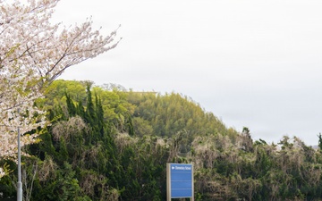 CFAY Stop Sign Installation In Ikego Housing
