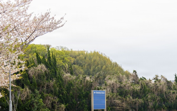 CFAY Stop Sign Installation In Ikego Housing