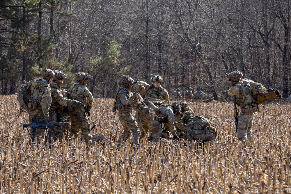 101st conducts Operation Lethal Eagle