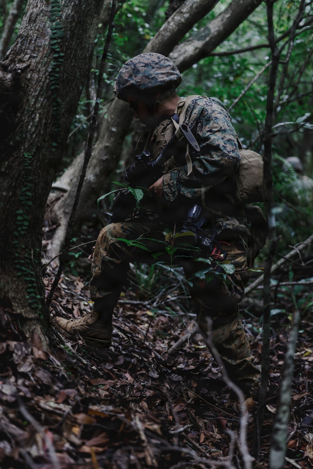 U.S. Marines conduct close quarters battle training during communication strategy and operations field training exercise