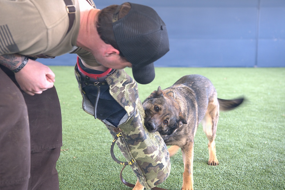 Offutt recovers and rebuilds seven years after historic flood