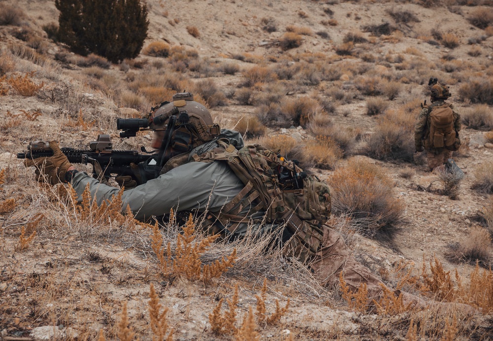 Every Peak a Perch. Every Valley a Kill Zone.
