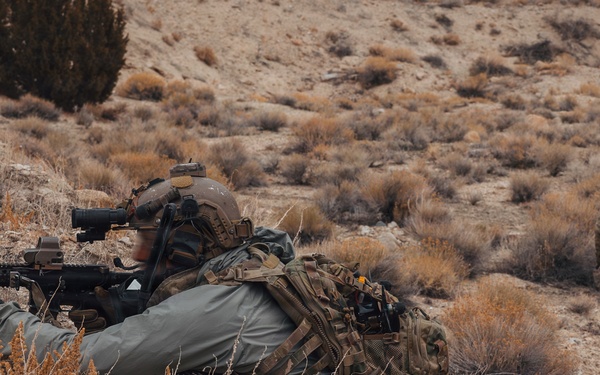 Every Peak a Perch. Every Valley a Kill Zone.