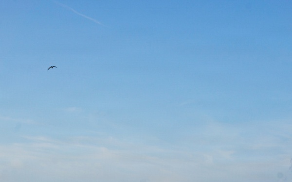Coast Guard Auxiliary promotes safe boating during NASA Artemis II launch