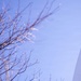 Air Force Memorial scaled for cleaning