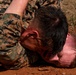 U.S. Marines conduct 12-kilometer hike and Marine Corps Martial Arts Program training during Communication Strategy and Operations Field Training Exercise