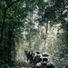 U.S. Army Green Berets train alongside Guatemalan Special Operations Forces