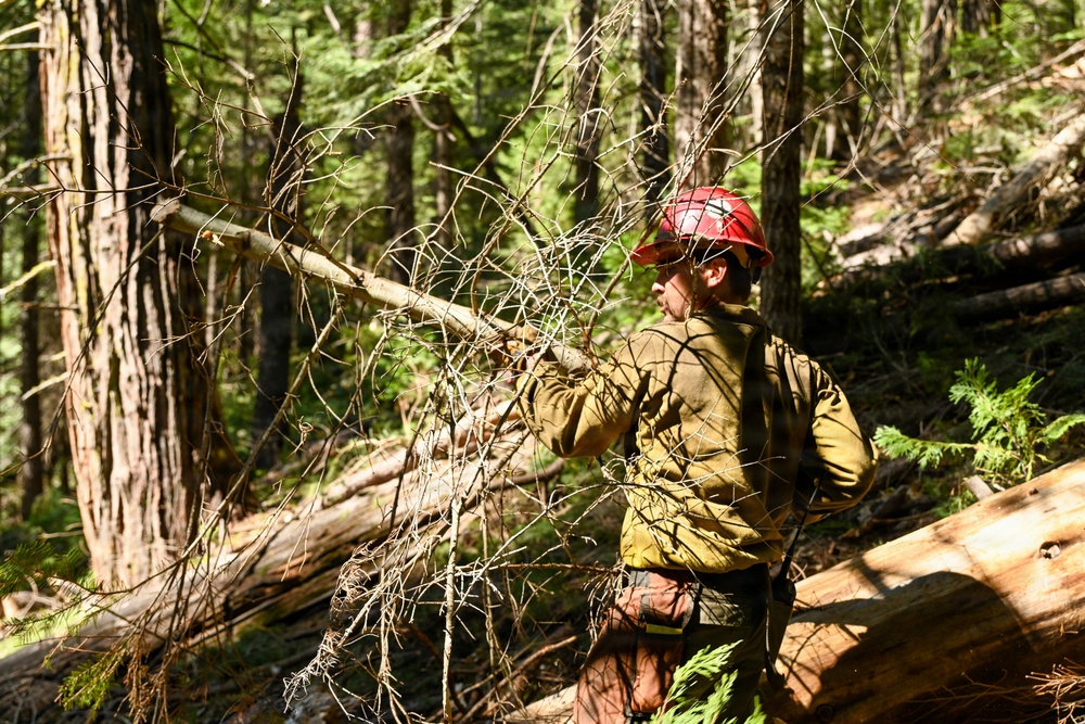 Stanislaus Hotshots Prep for Prescribed Fire in Arnold