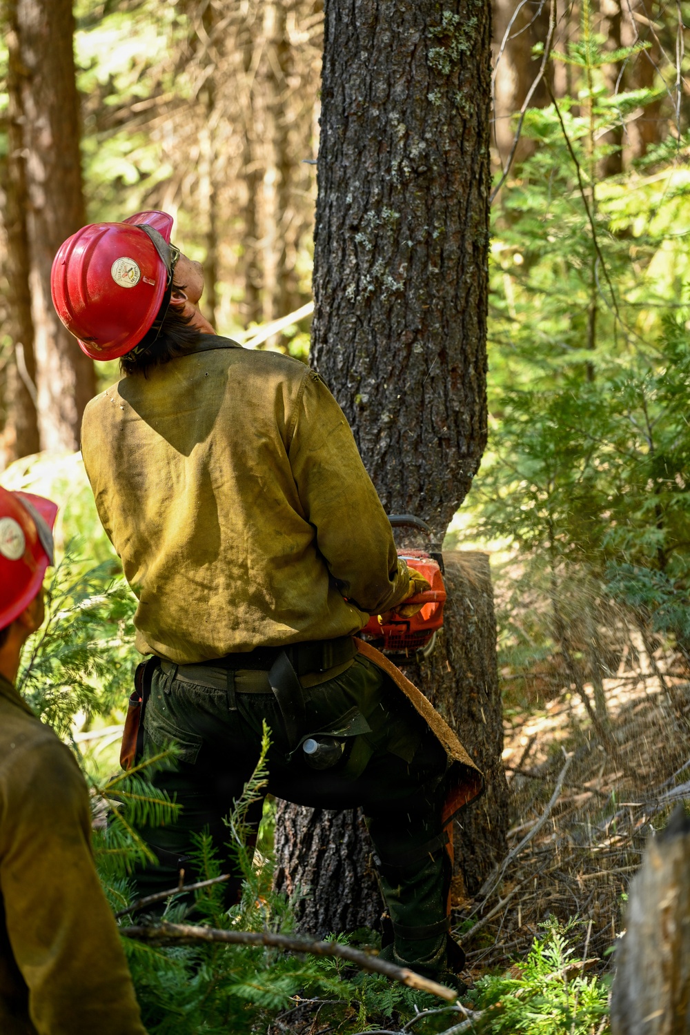 Stanislaus Hotshots Prep for Prescribed Fire in Arnold