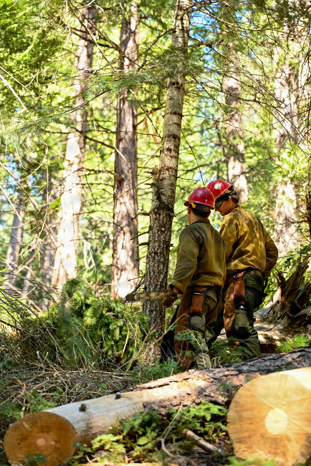 Stanislaus Hotshots Prep for Prescribed Fire in Arnold