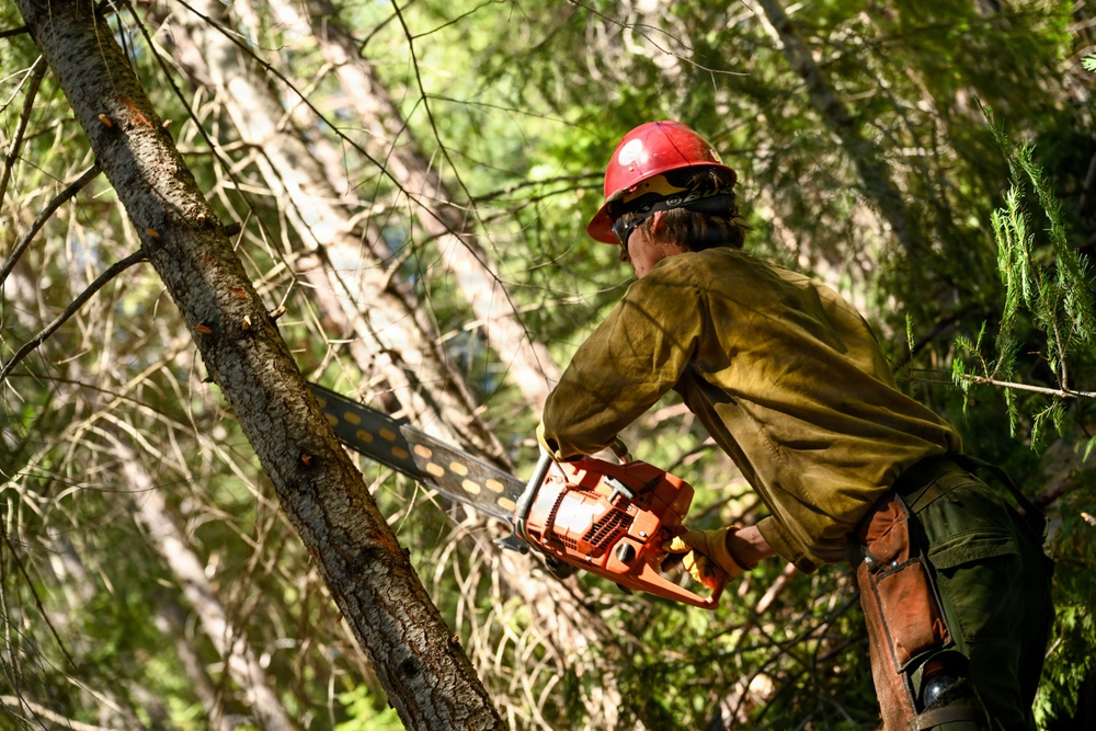Stanislaus Hotshots Prep for Prescribed Fire in Arnold