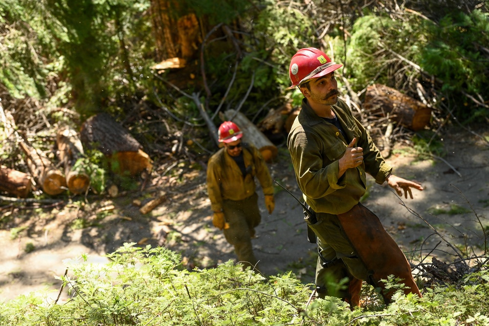 Stanislaus Hotshots Prep for Prescribed Fire in Arnold