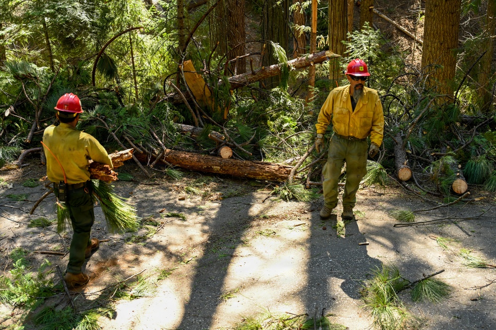 Stanislaus Hotshots Prep for Prescribed Fire in Arnold