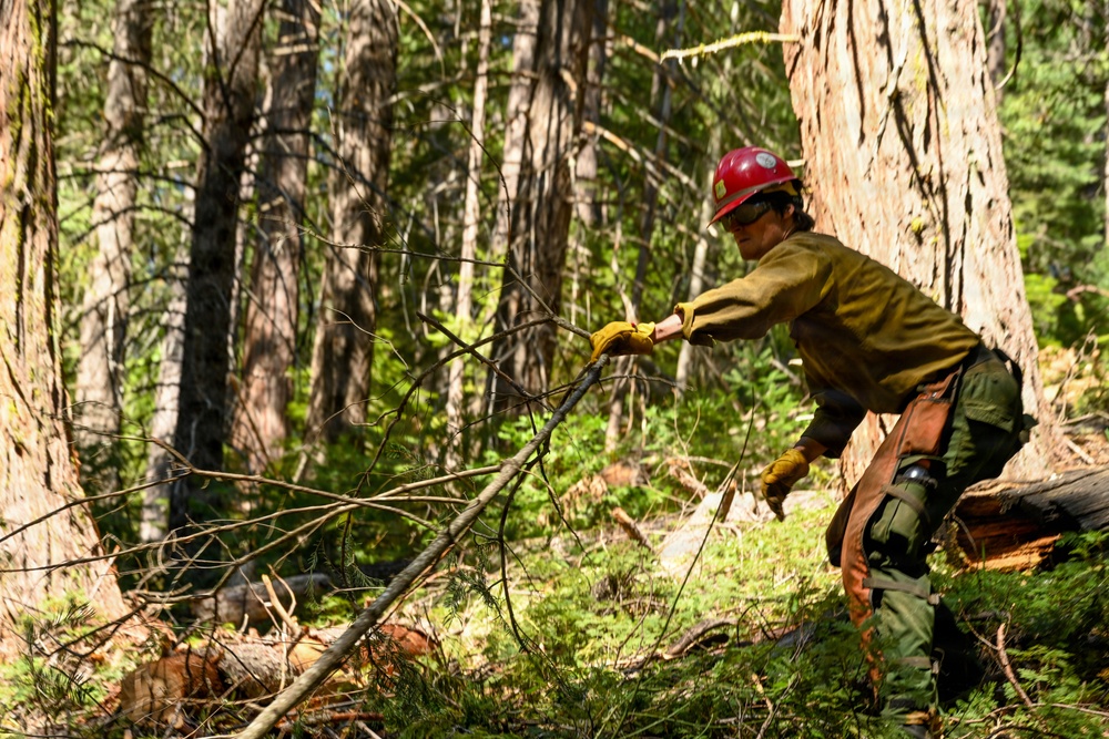 Stanislaus Hotshots Prep for Prescribed Fire in Arnold