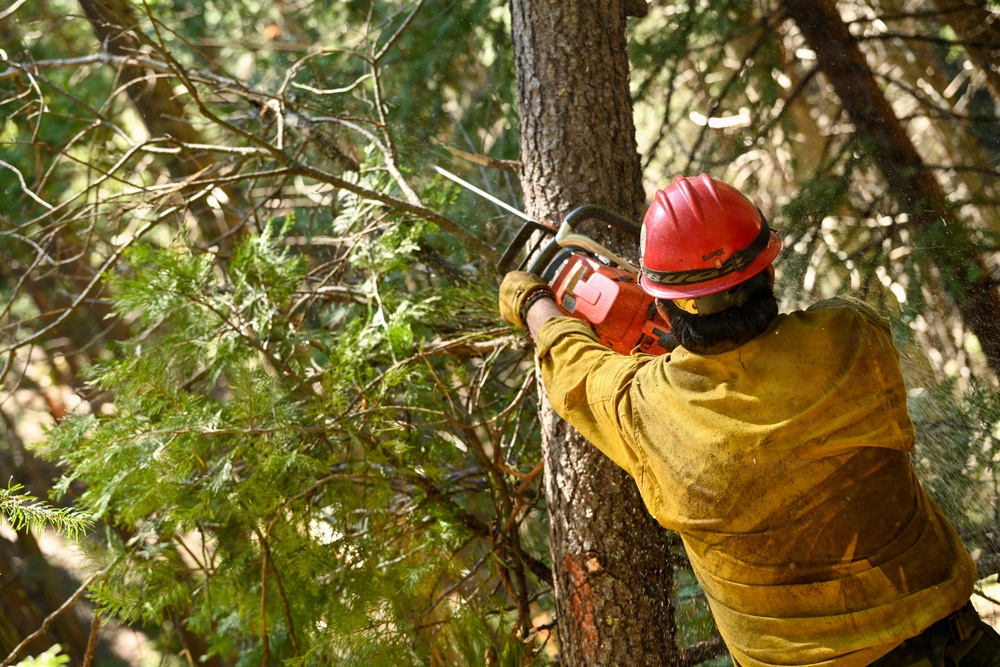 Stanislaus Hotshots Prep for Prescribed Fire in Arnold