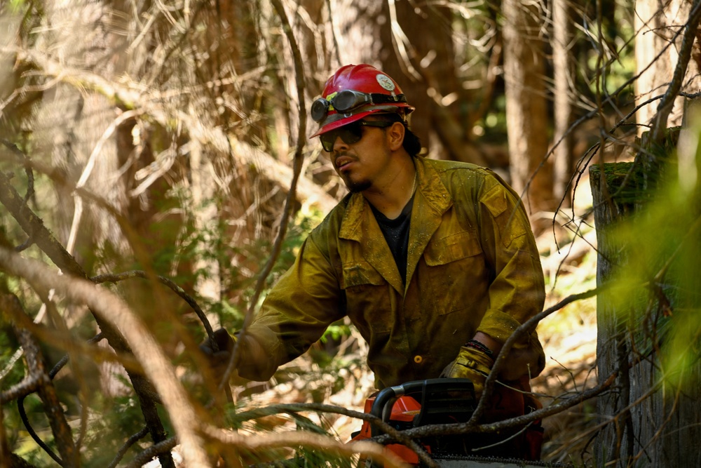 Stanislaus Hotshots Prep for Prescribed Fire in Arnold