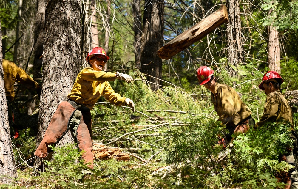 Stanislaus Hotshots Prep for Prescribed Fire in Arnold