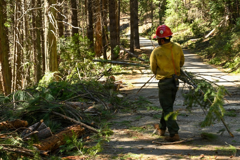 Stanislaus Hotshots Prep for Prescribed Fire in Arnold