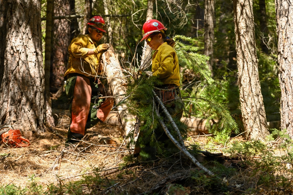 Stanislaus Hotshots Prep for Prescribed Fire in Arnold