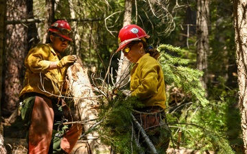 Stanislaus Hotshots Prep for Prescribed Fire in Arnold