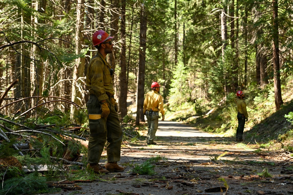 Stanislaus Hotshots Prep for Prescribed Fire in Arnold