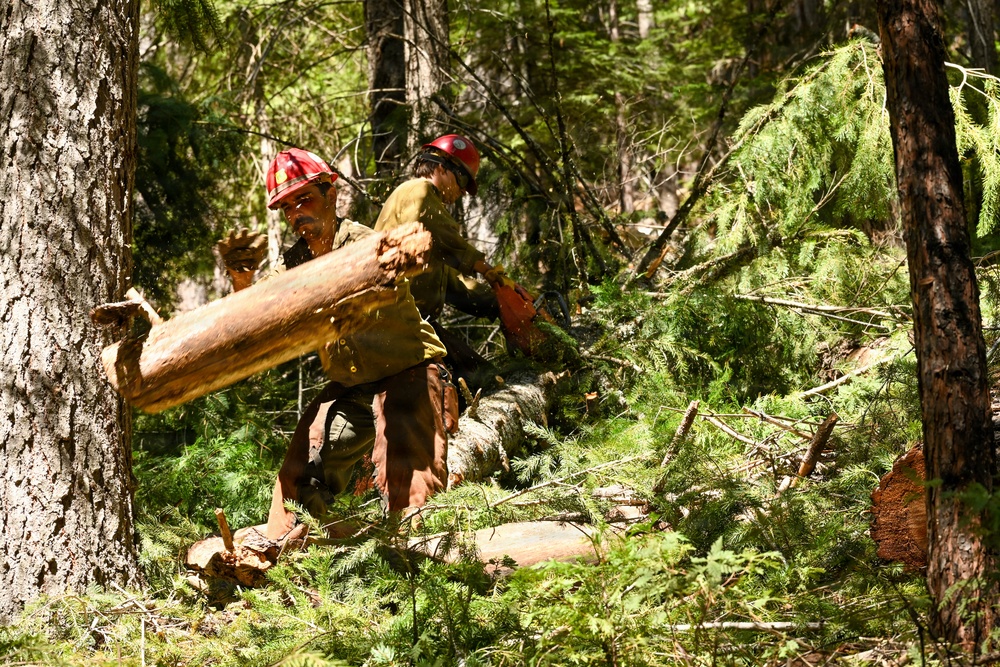 Stanislaus Hotshots Prep for Prescribed Fire in Arnold