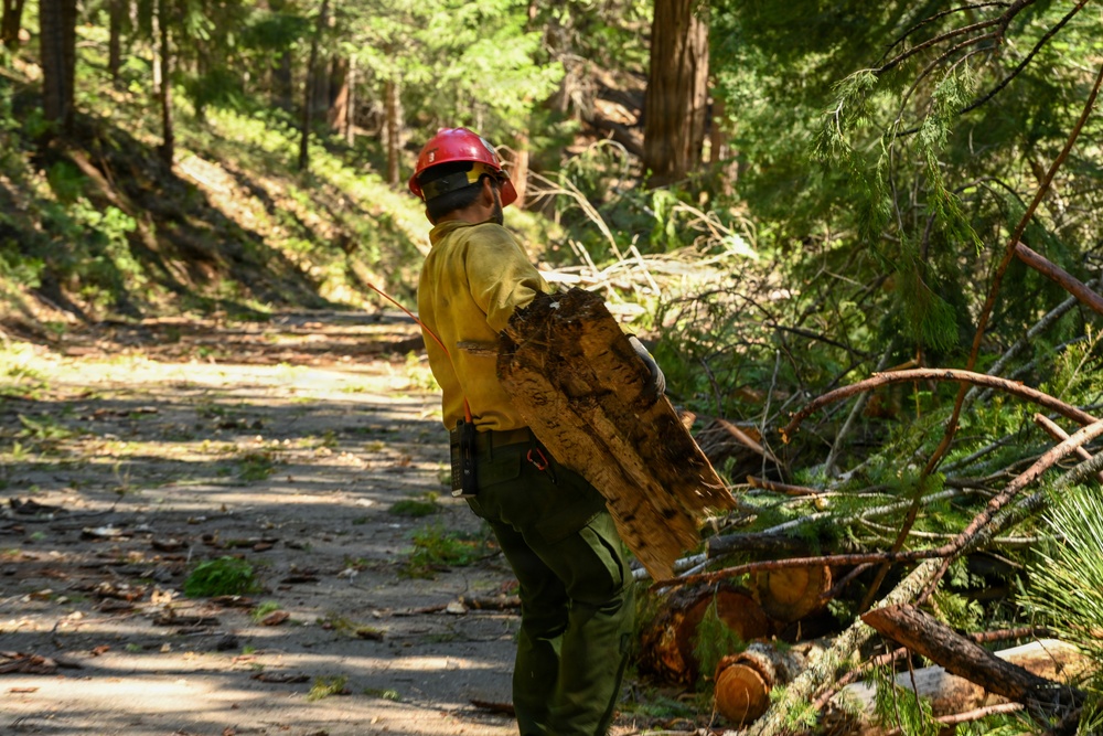 Stanislaus Hotshots Prep for Prescribed Fire in Arnold