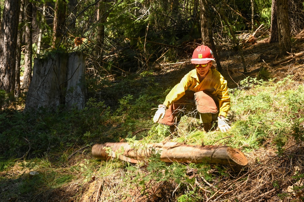 Stanislaus Hotshots Prep for Prescribed Fire in Arnold