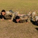 Dogface Soldiers prepare for Best Redleg Competition
