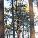Special Forces Candidates Tackle Obstacle Course