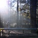 Special Forces Candidates Tackle Obstacle Course