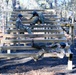 Special Forces Candidates Tackle Obstacle Course