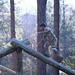 Special Forces Candidates Tackle Obstacle Course