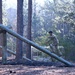 Special Forces Candidates Tackle Obstacle Course